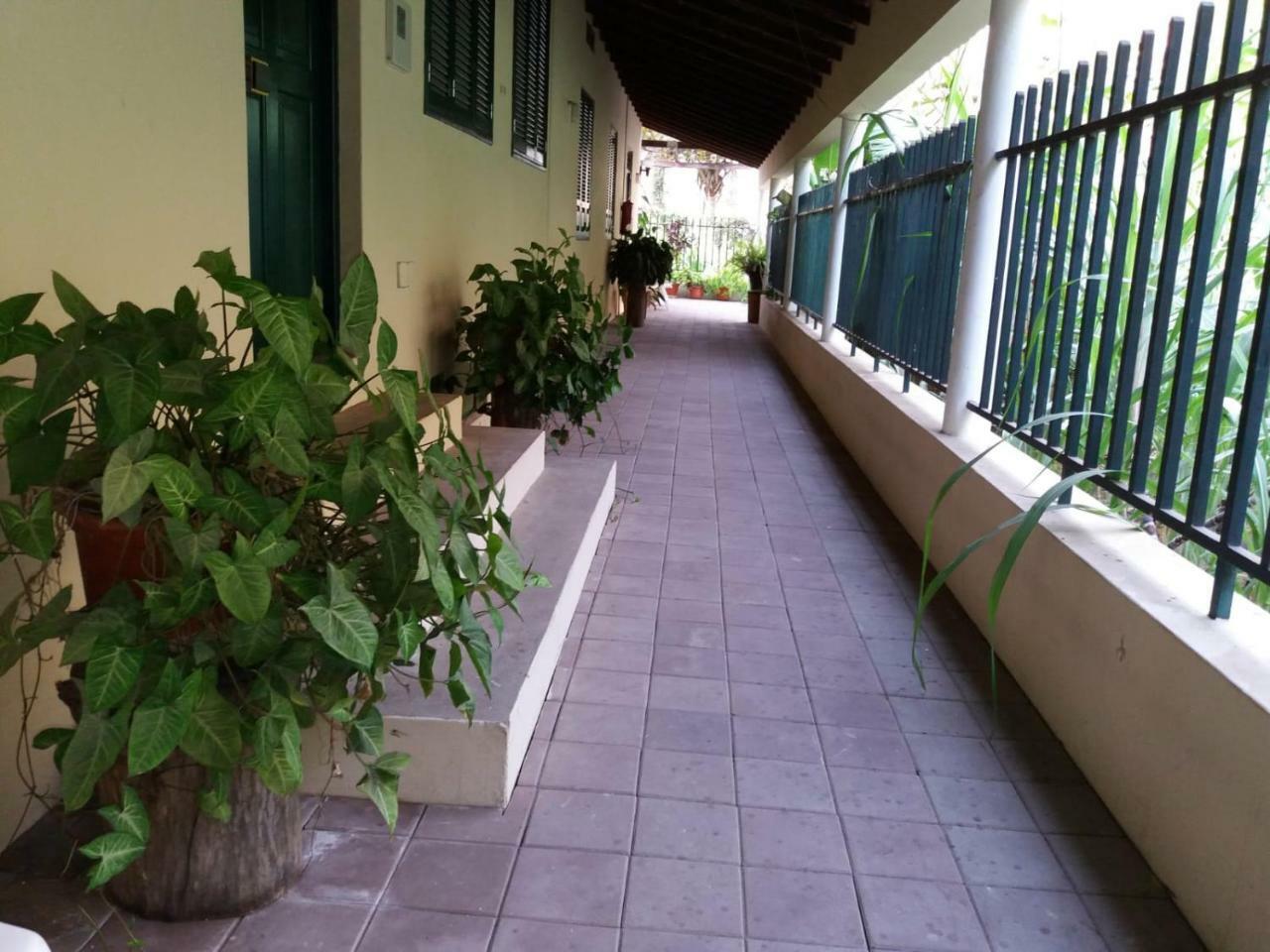 Ribeira Grande Country House Cha de Arroz 外观 照片