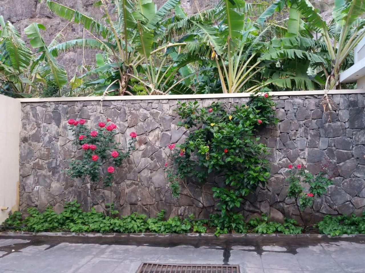 Ribeira Grande Country House Cha de Arroz 外观 照片