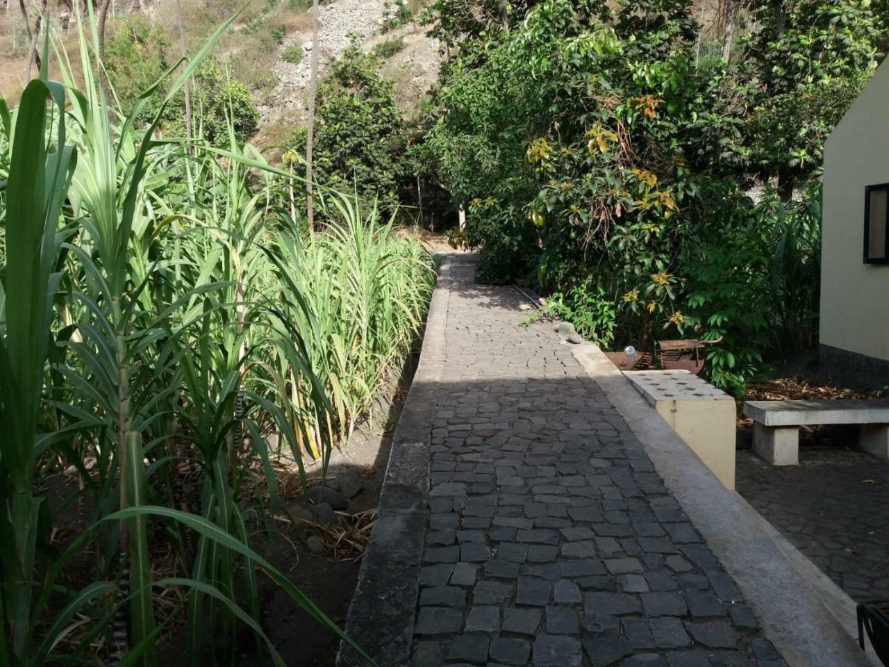 Ribeira Grande Country House Cha de Arroz 外观 照片