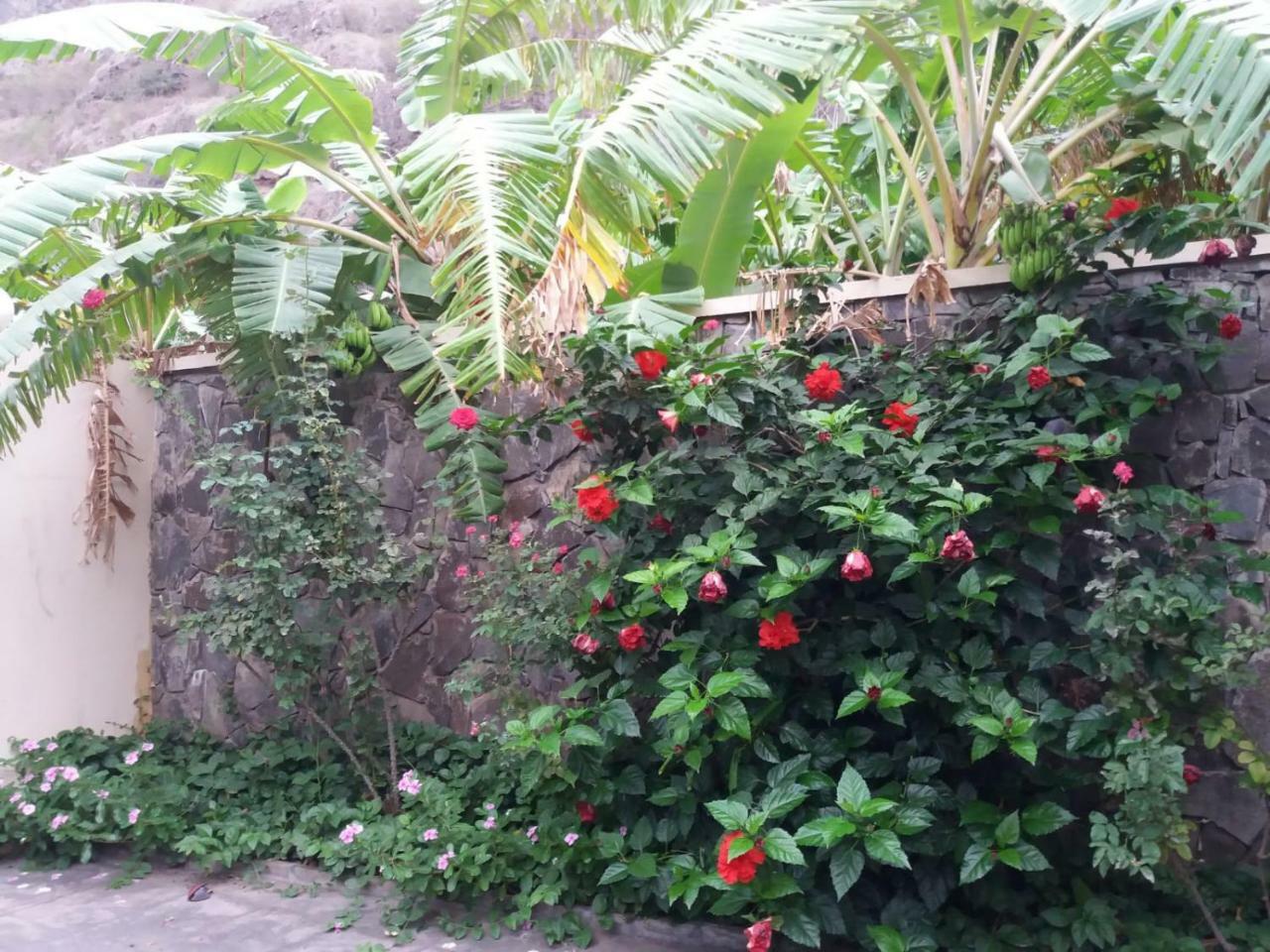 Ribeira Grande Country House Cha de Arroz 外观 照片
