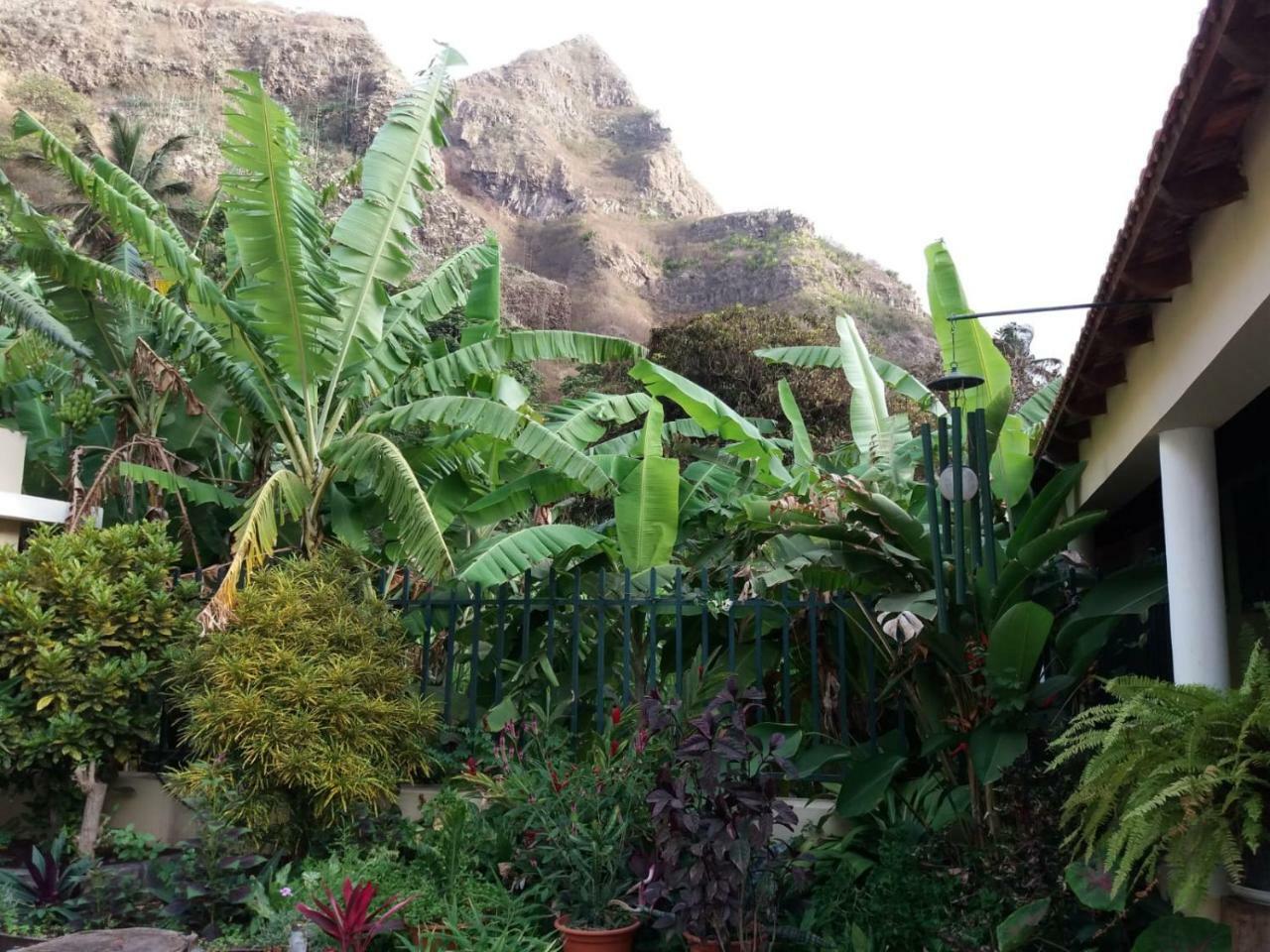 Ribeira Grande Country House Cha de Arroz 外观 照片